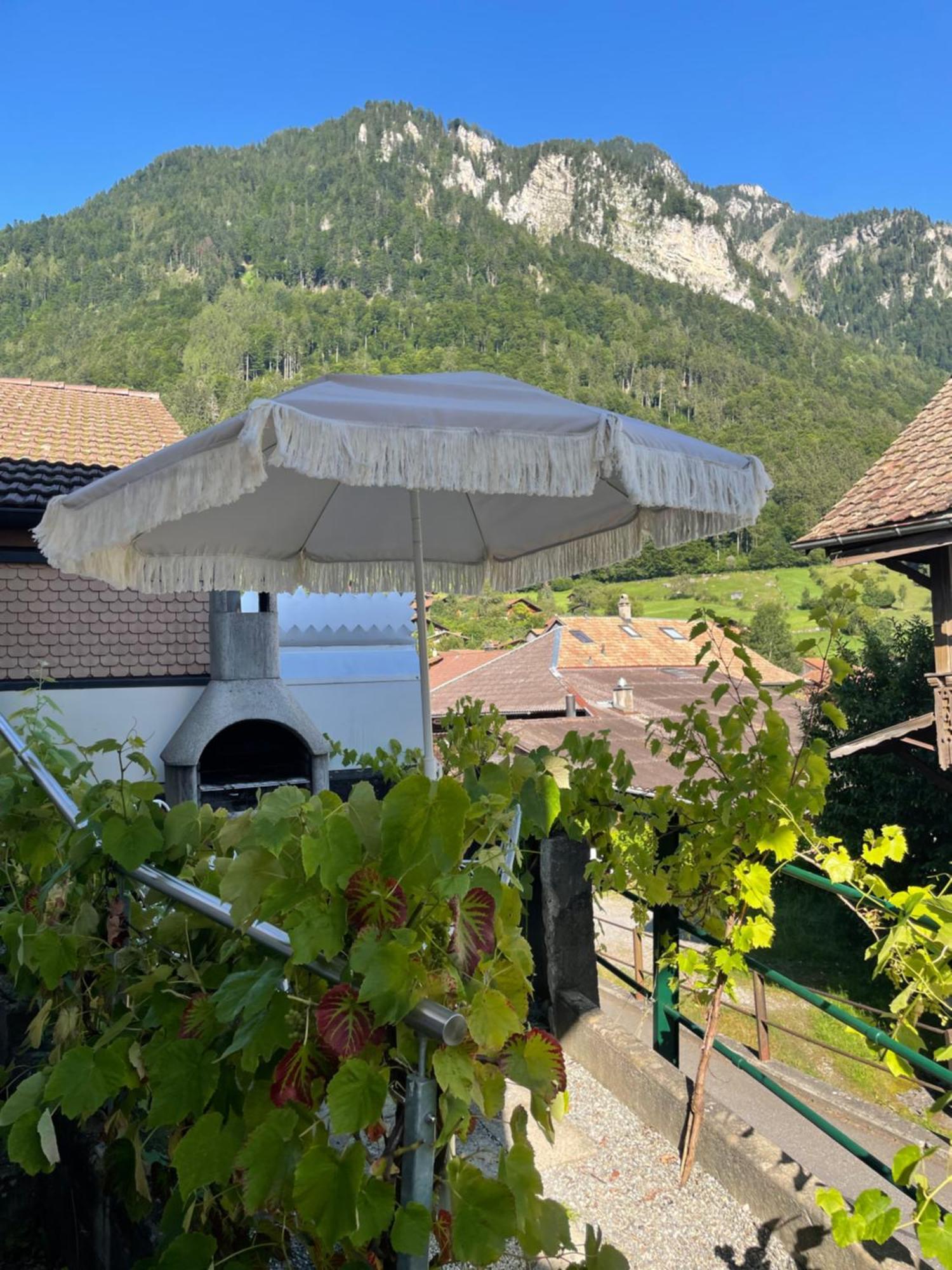 Studio In Alps By Apartments Capricorn Gsteigwiler Ngoại thất bức ảnh